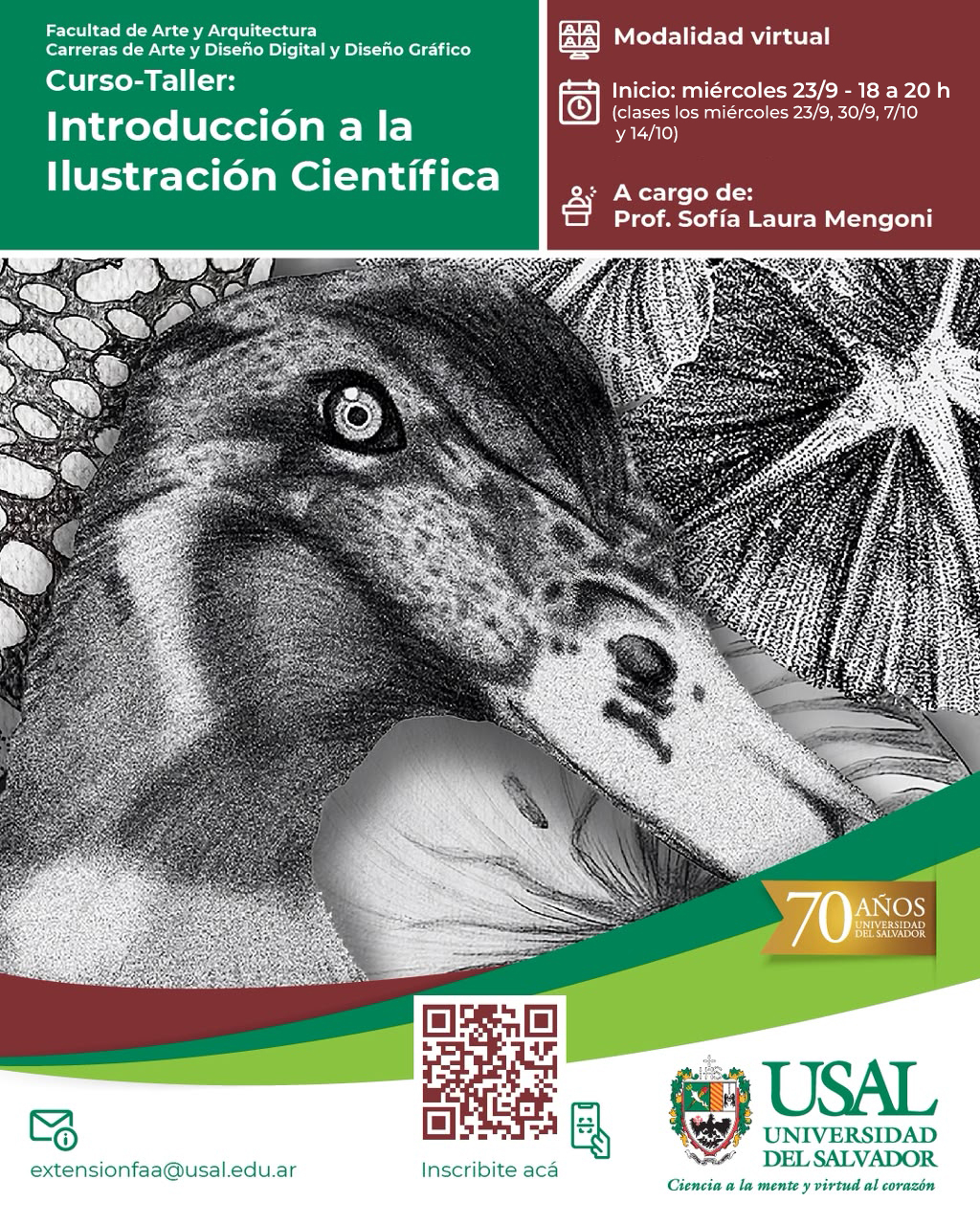 Portada de la actividad DVRID 146/26: Curso-Taller de Introducción a la Ilustración Científica