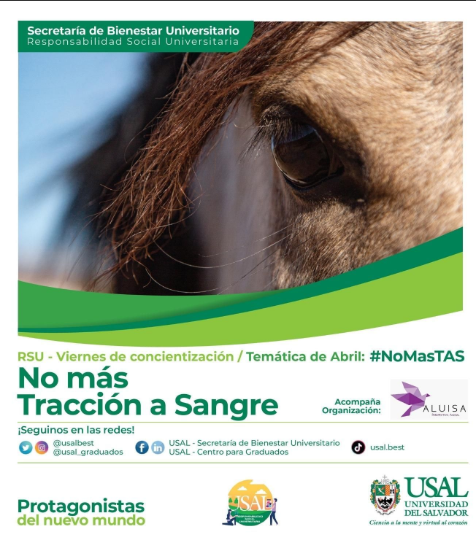 NO MAS TRACCIÓN A SANGRE