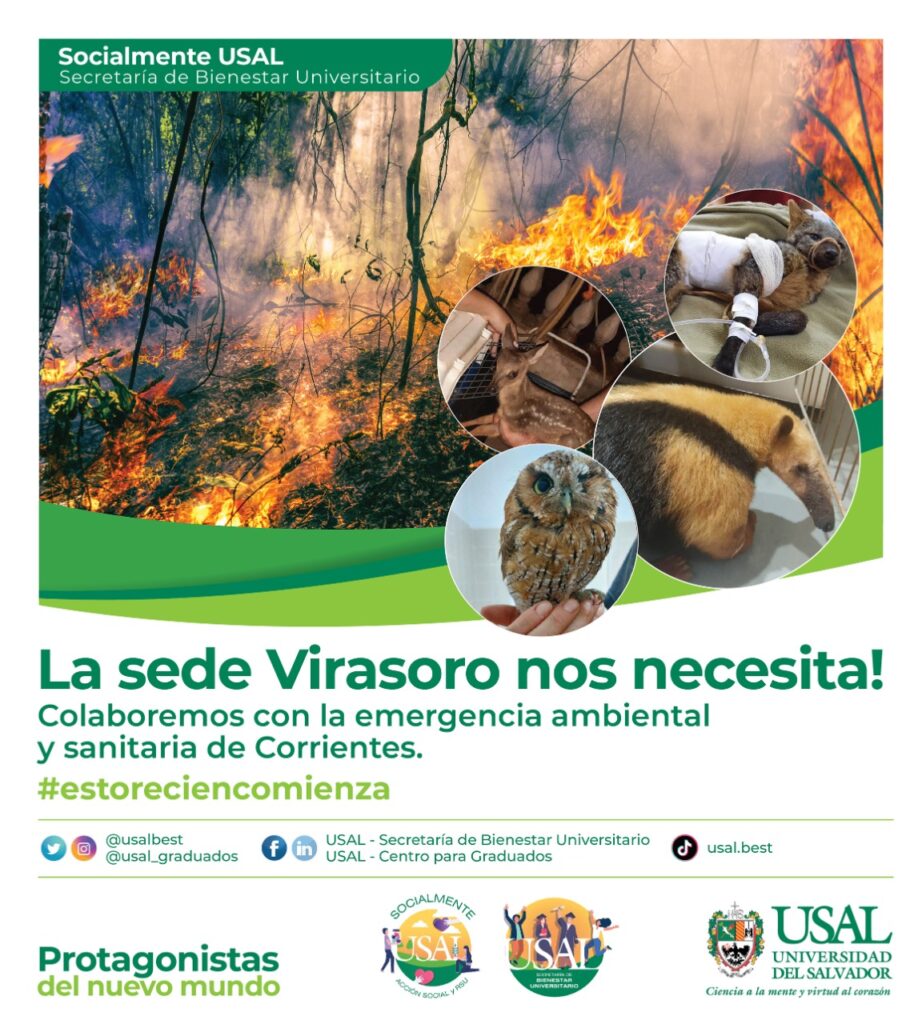 Proyecto CORRIENTES