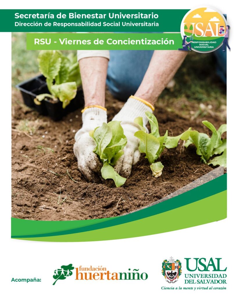 Fundación Huerta Niño – Huertas Responsables