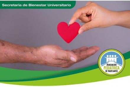 Donación de órganos y trasplante con Asociación Pediátrica de Trasplante