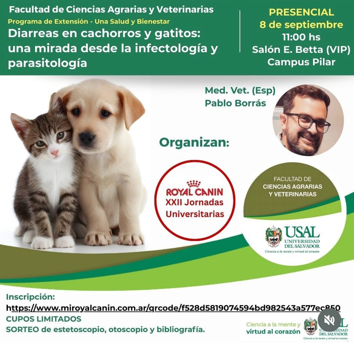 Portada de la actividad Diarreas en cachorros y gatitos: una mirada desde la infectología y parasitología