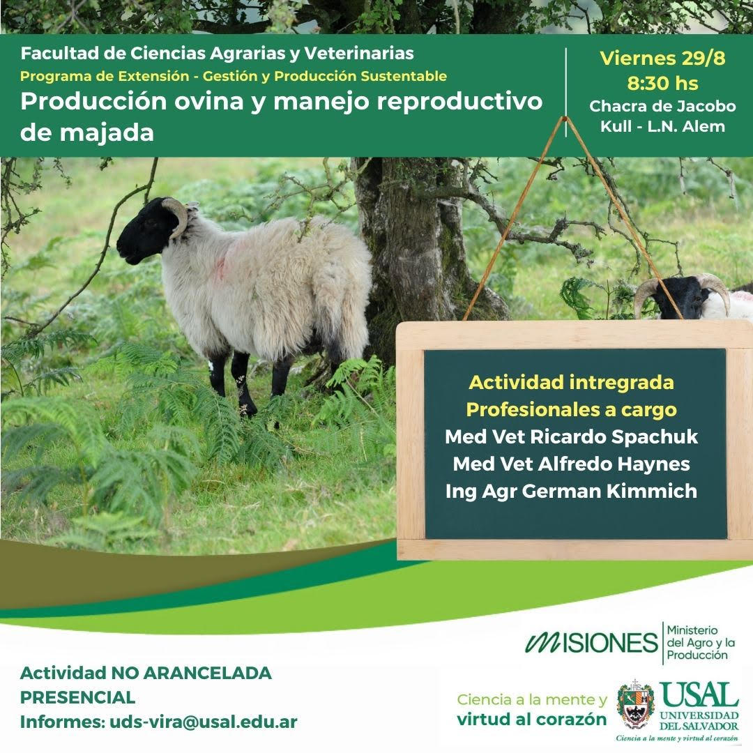 Portada de la actividad Producción ovina y manejo reproductivo de majada.