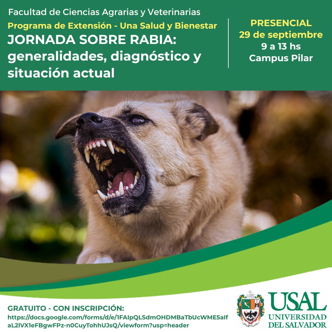 Portada de la actividad 