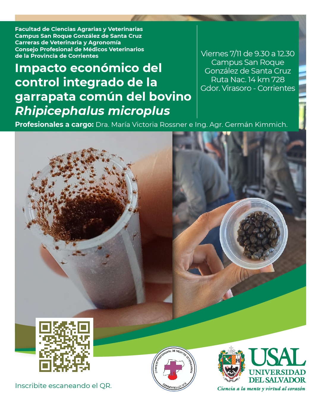Portada de la actividad IMPACTO ECONOMICO DEL CONTROL INTEGRADO DE LA GARRAPATA COMUN DEL BOVINO RHIPICEPHALUS MICROPLUS